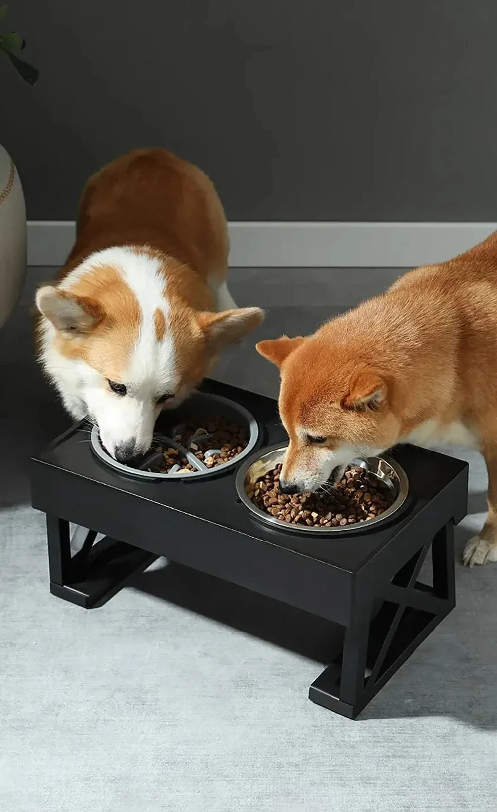 Elevated Dog Bowls 3 Adjustable Heights Raised Pet Stand with Slow Feeder Stainless Steel Food Bowls for Small Medium Large Dogs